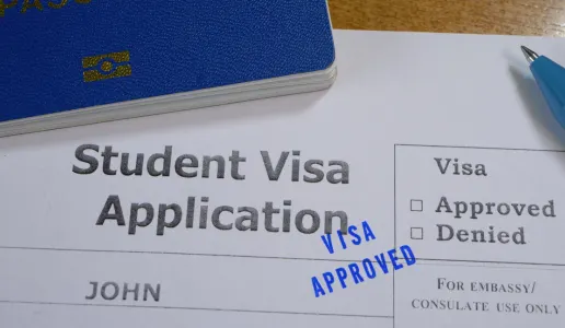 Visa and Travel Logistics